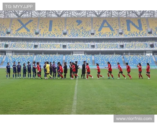 权威发布：2023年足球配合实力榜单全面解读与分析