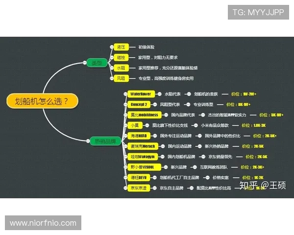 极限运动装备选购指南滑板品牌与型号推荐全方位解析