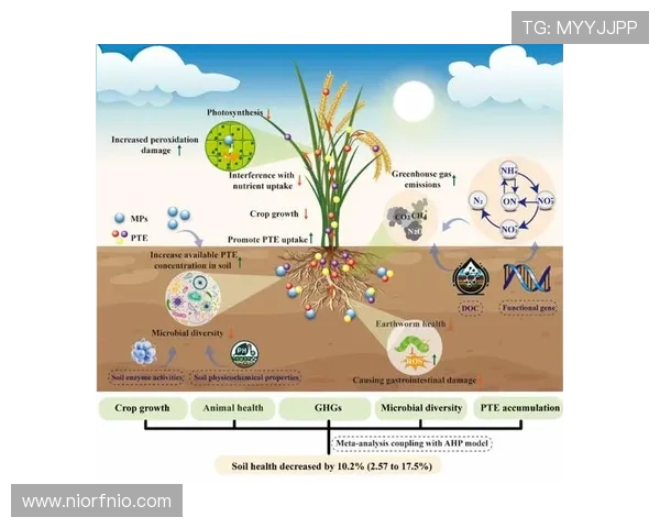 河床与克塞的对比分析探讨两者在生态与经济发展中的作用与影响