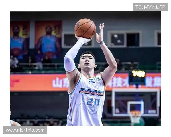 陶汉林:从篮球场上的拼搏者到社会公益的积极推动者的华丽转身